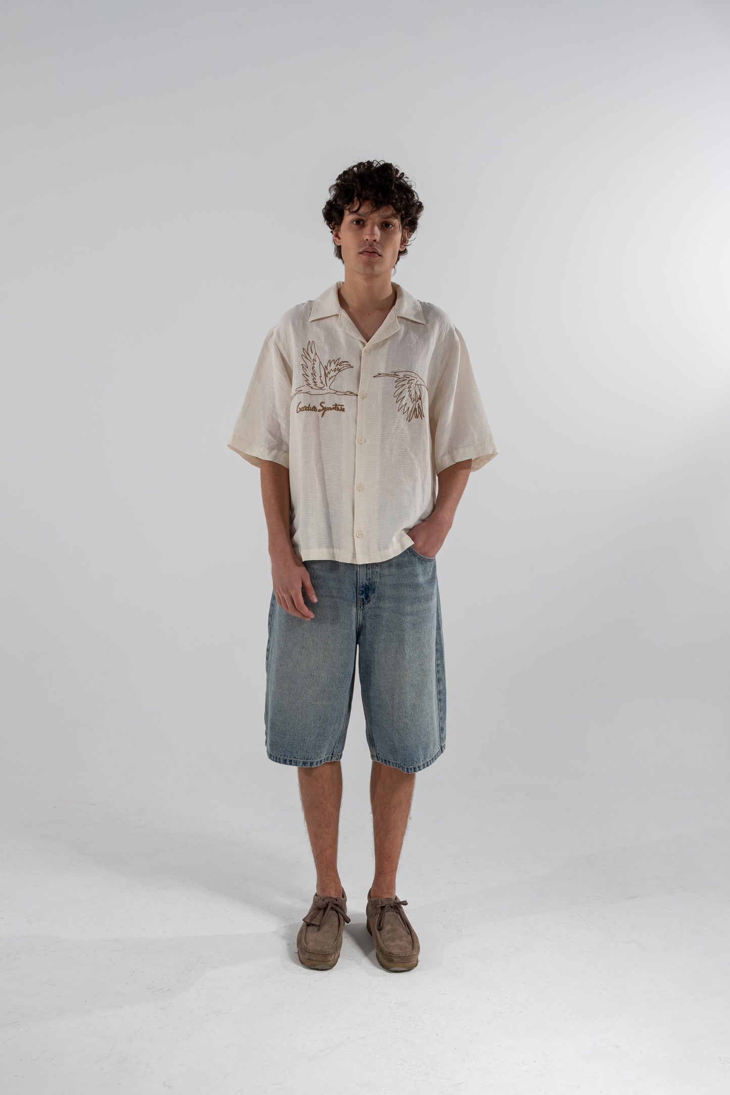 Goose cotton linen lyocell shirt - Aura