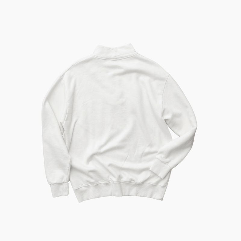 New pegasus halfzipper - Aura