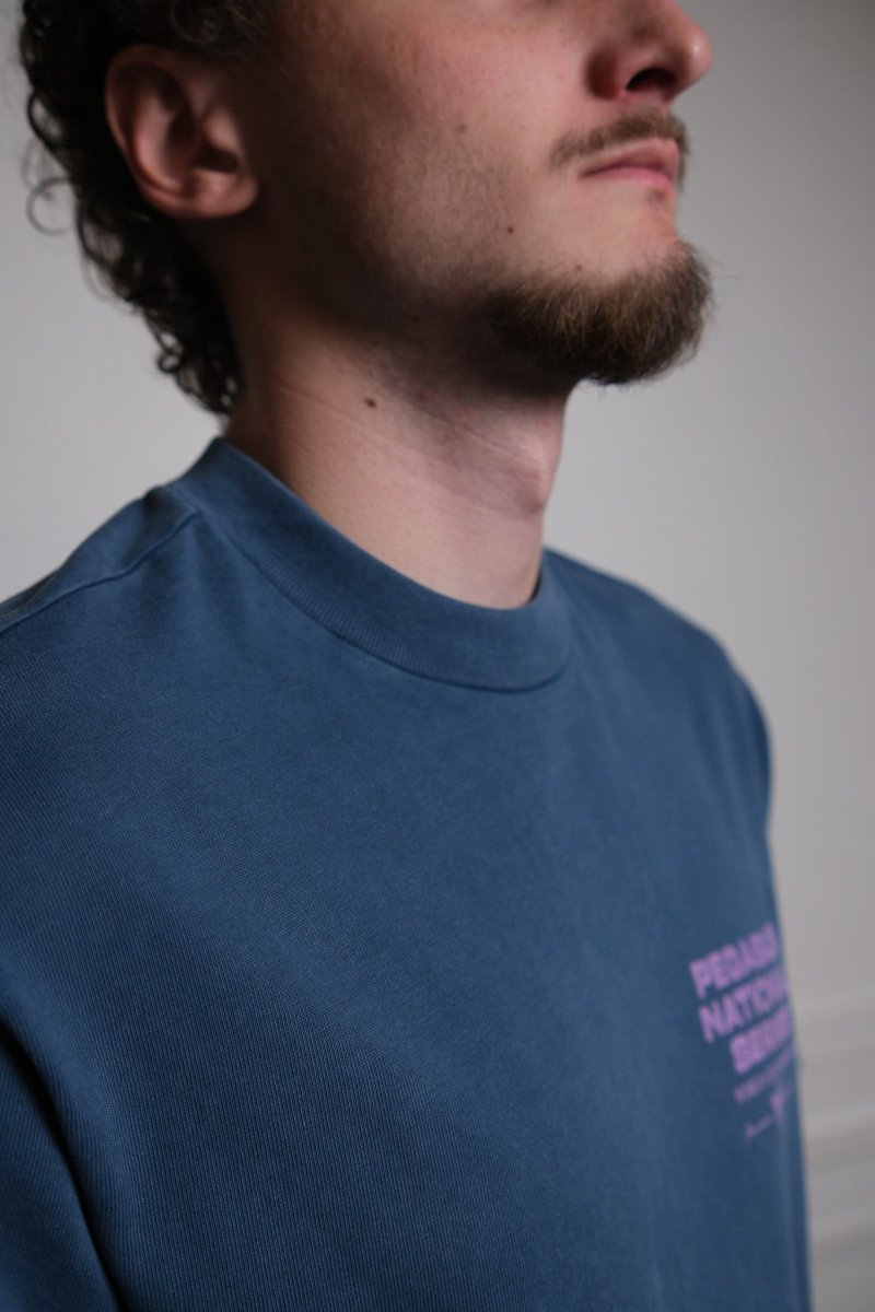 Goodies Sportive Pegasus Series Blue Tee vue de face produit