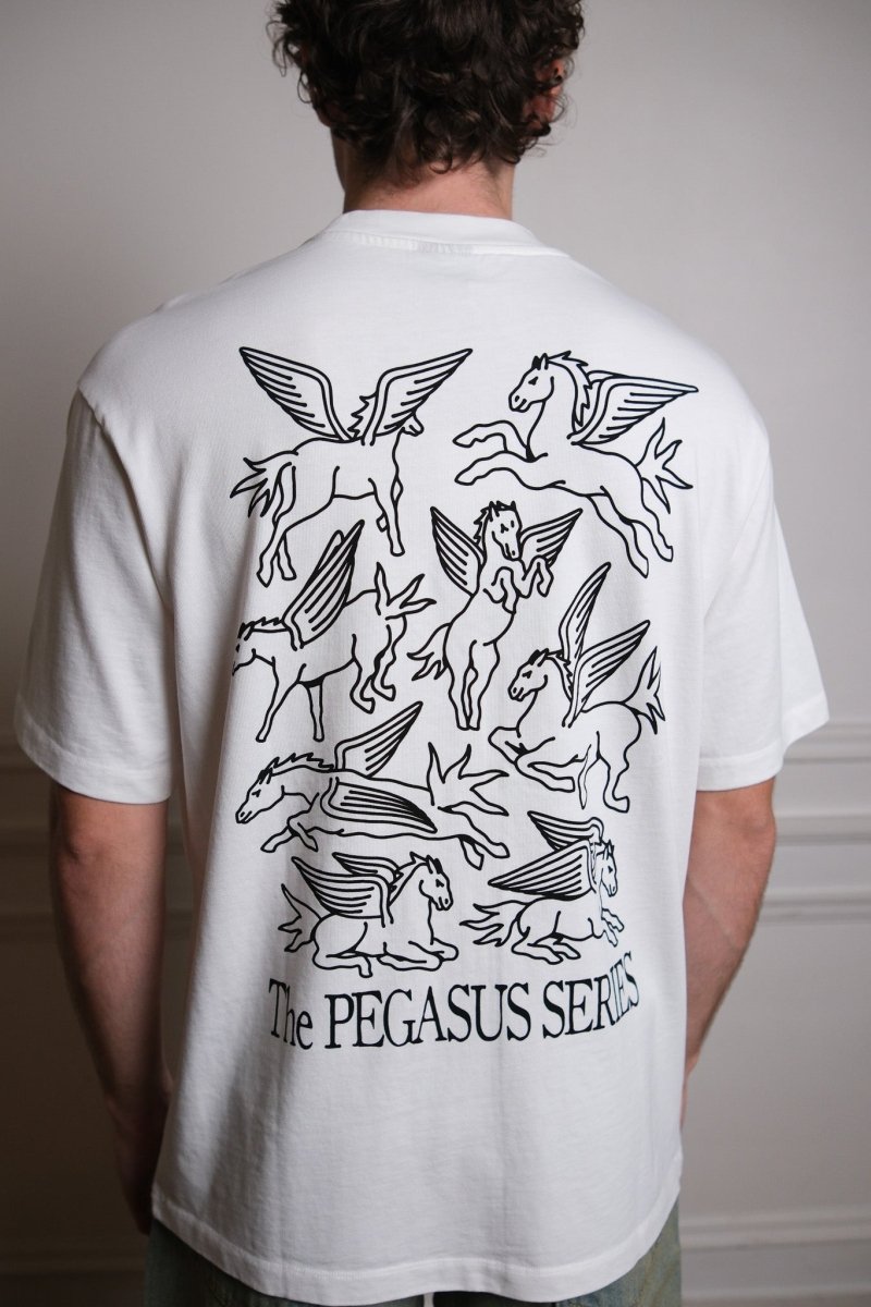 Goodies Sportive Multi Pegasus Tee vue de dos produit