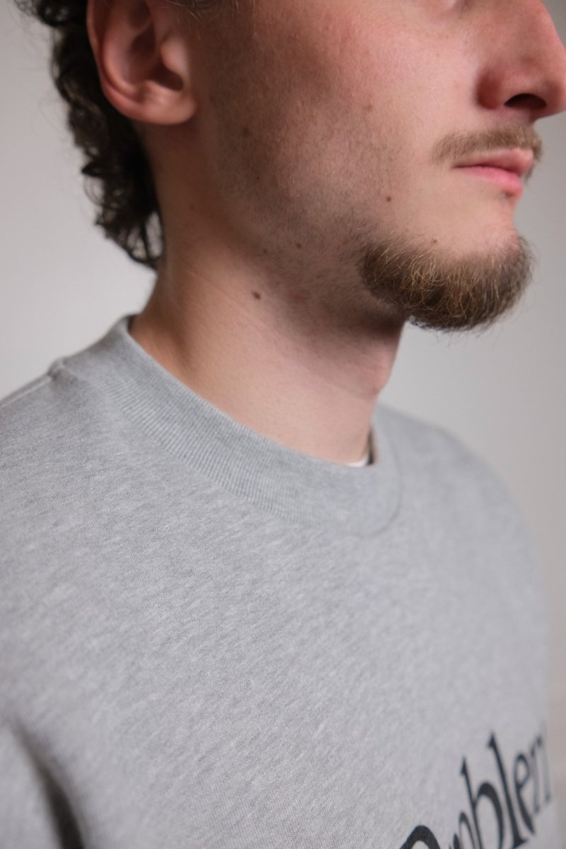 Détail col rond sweatshirt Aries No Problemo grey — photo 4