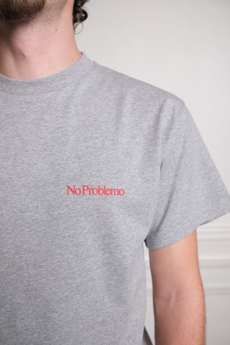 Détail du mini logo No Problemo sérigraphié sur le devant du t-shirt grey marl