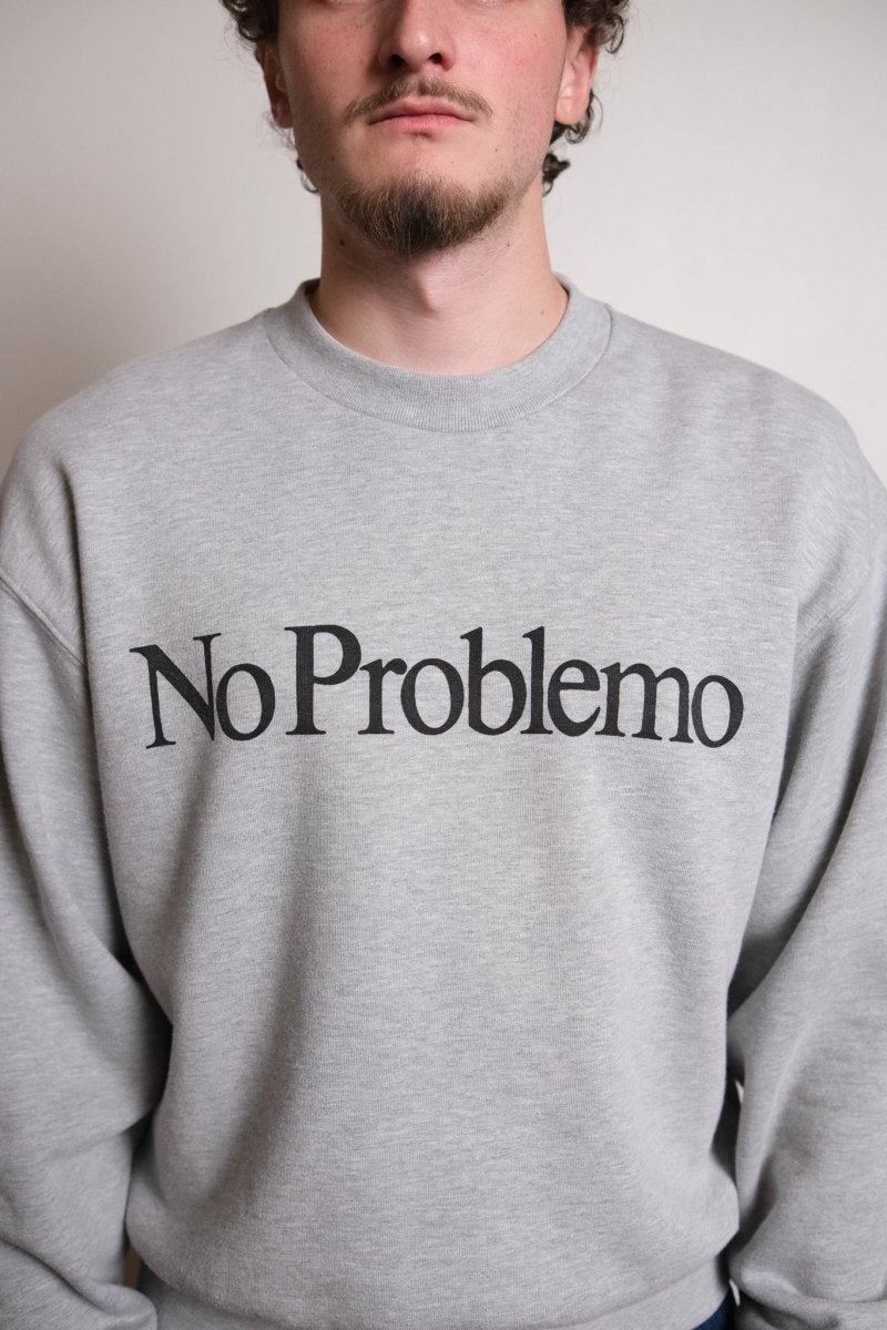 Détail sérigraphie No Problemo poitrine sweatshirt Aries gris
