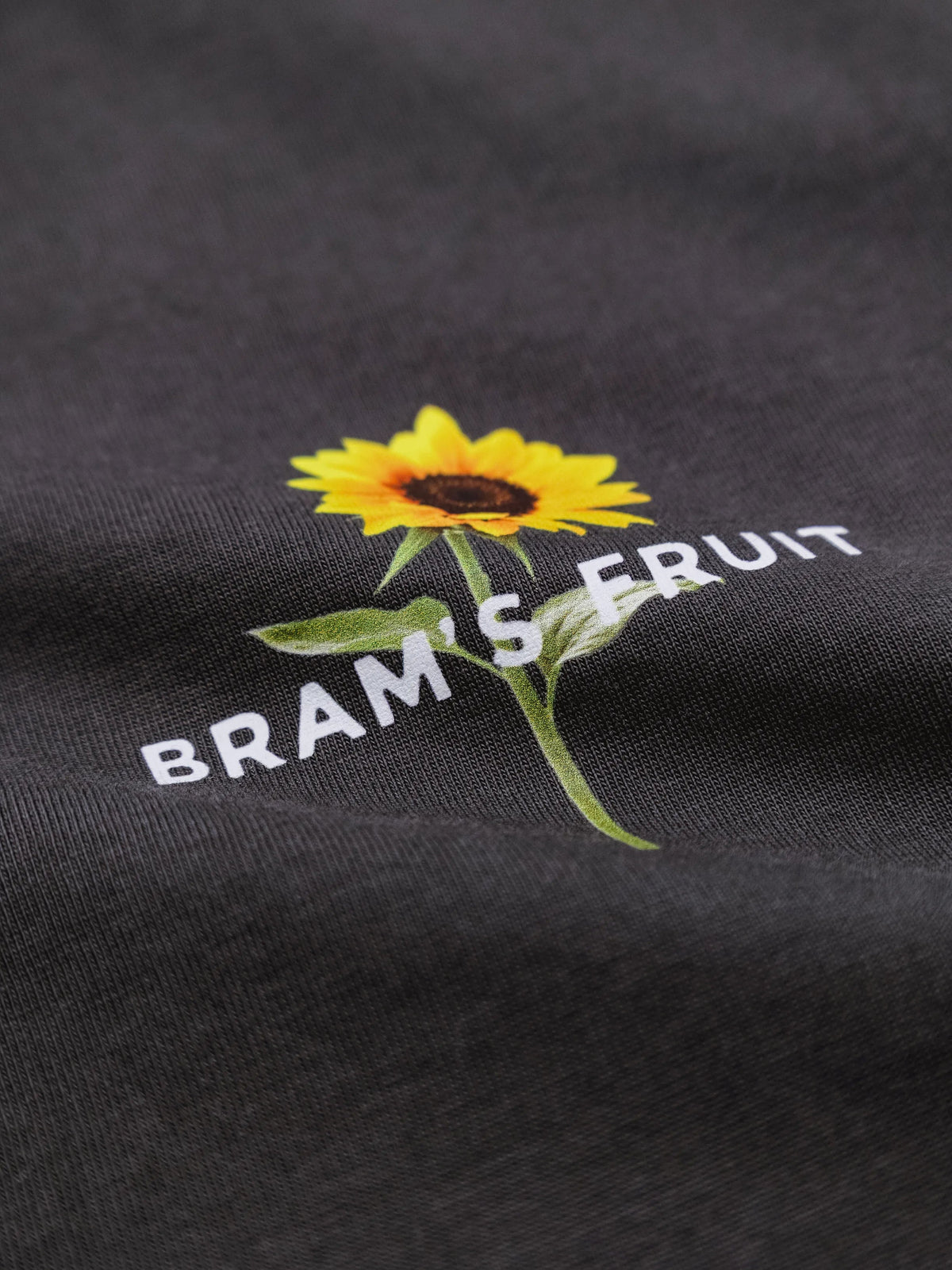 Détail du col rond côtelé du Sunflower T-shirt Bram's Fruit shadow black — photo 4
