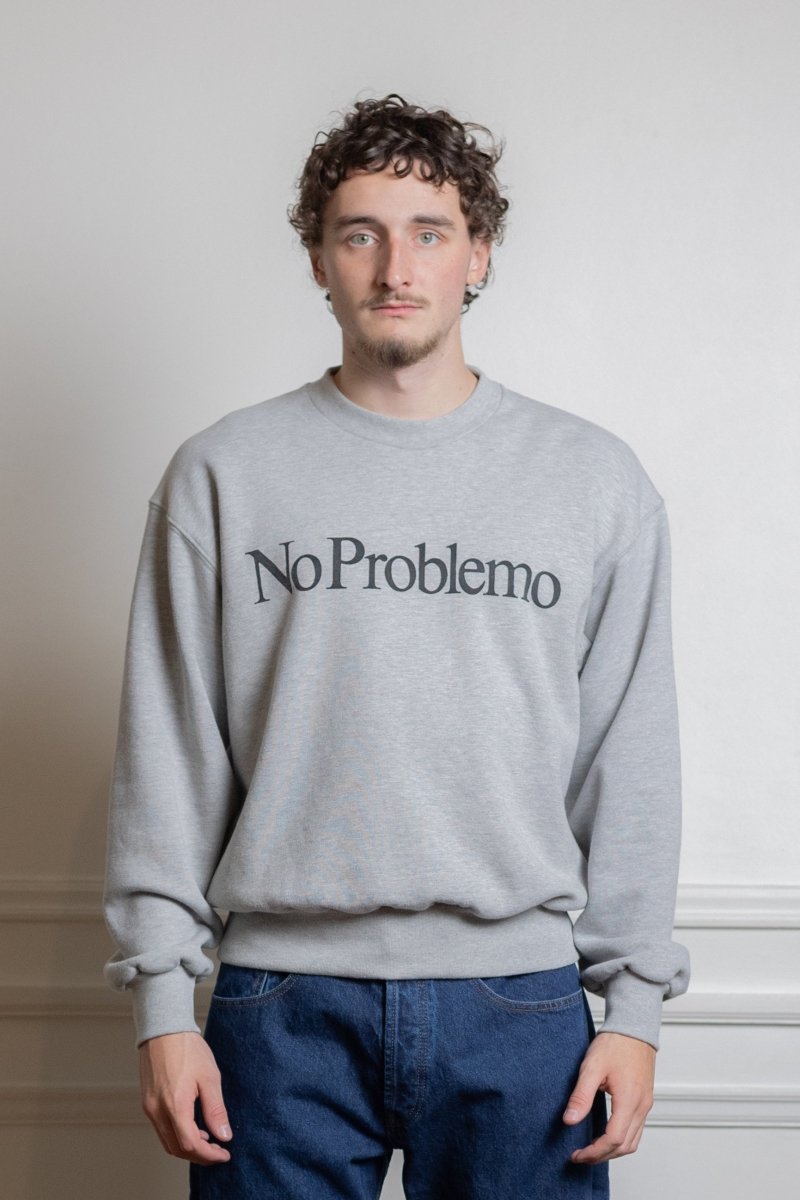 Sweatshirt Aries No Problemo grey produit
