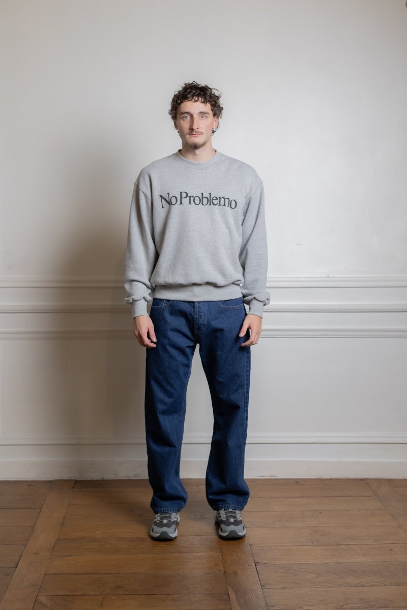 Sweatshirt Aries No Problemo gris chiné molleton coton porté de face — photo 1