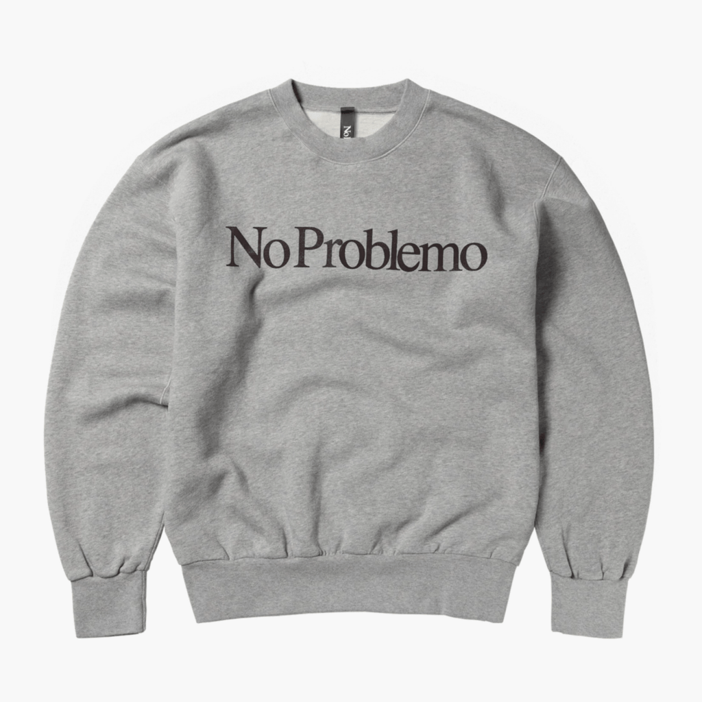 Sweatshirt gris homme logo No Problemo Aries boutique homme rennes 