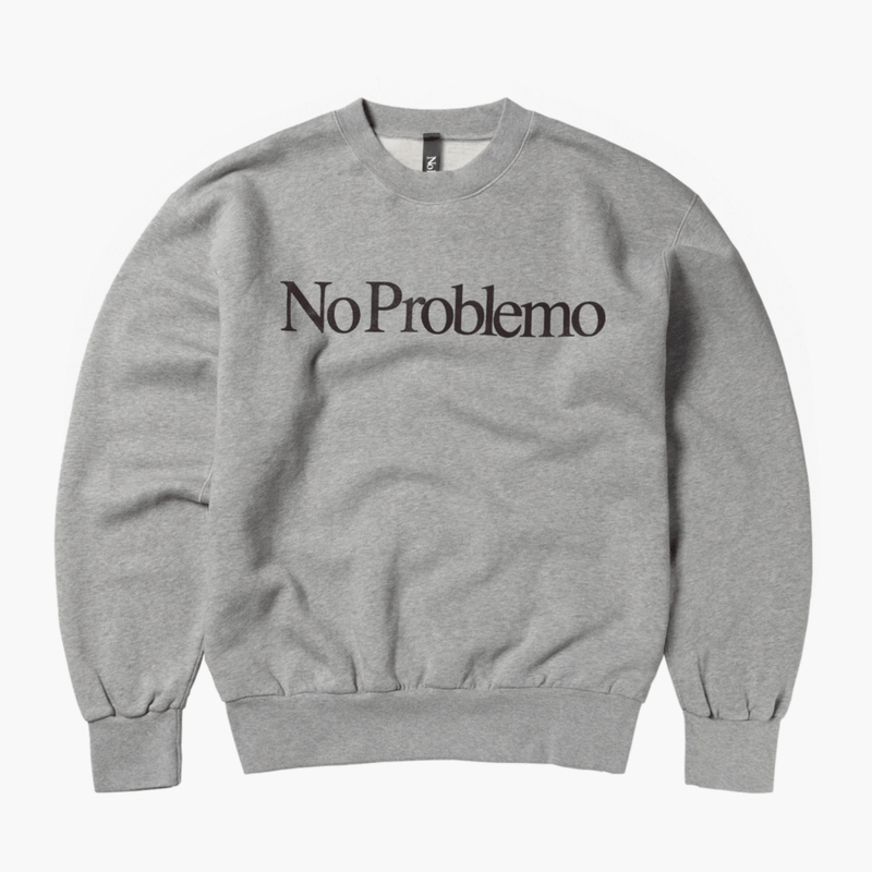 Sweatshirt gris homme logo No Problemo Aries boutique homme rennes 