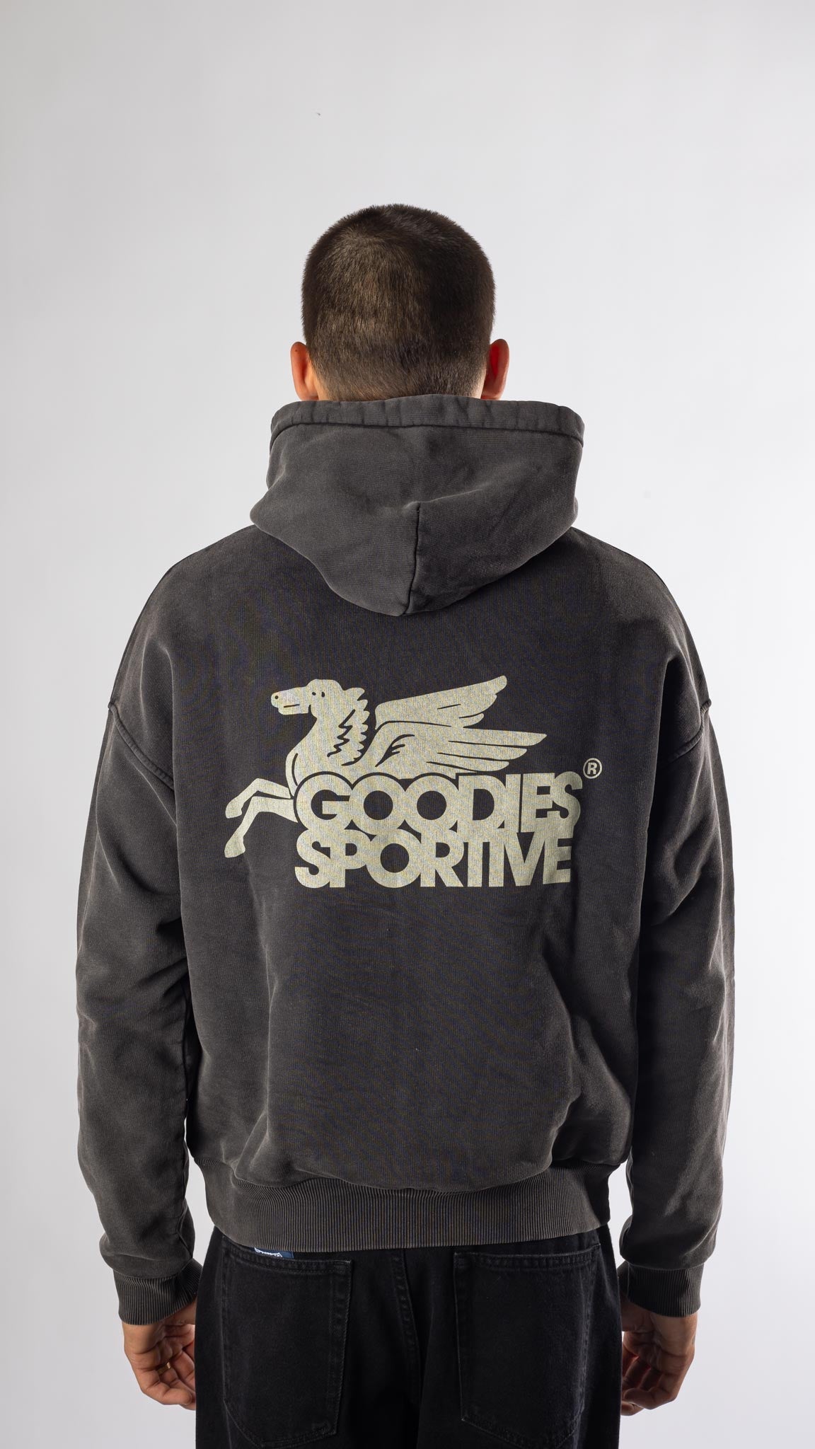 VINTAGE BLACK PEGASUS HOODIE Goodies sportive