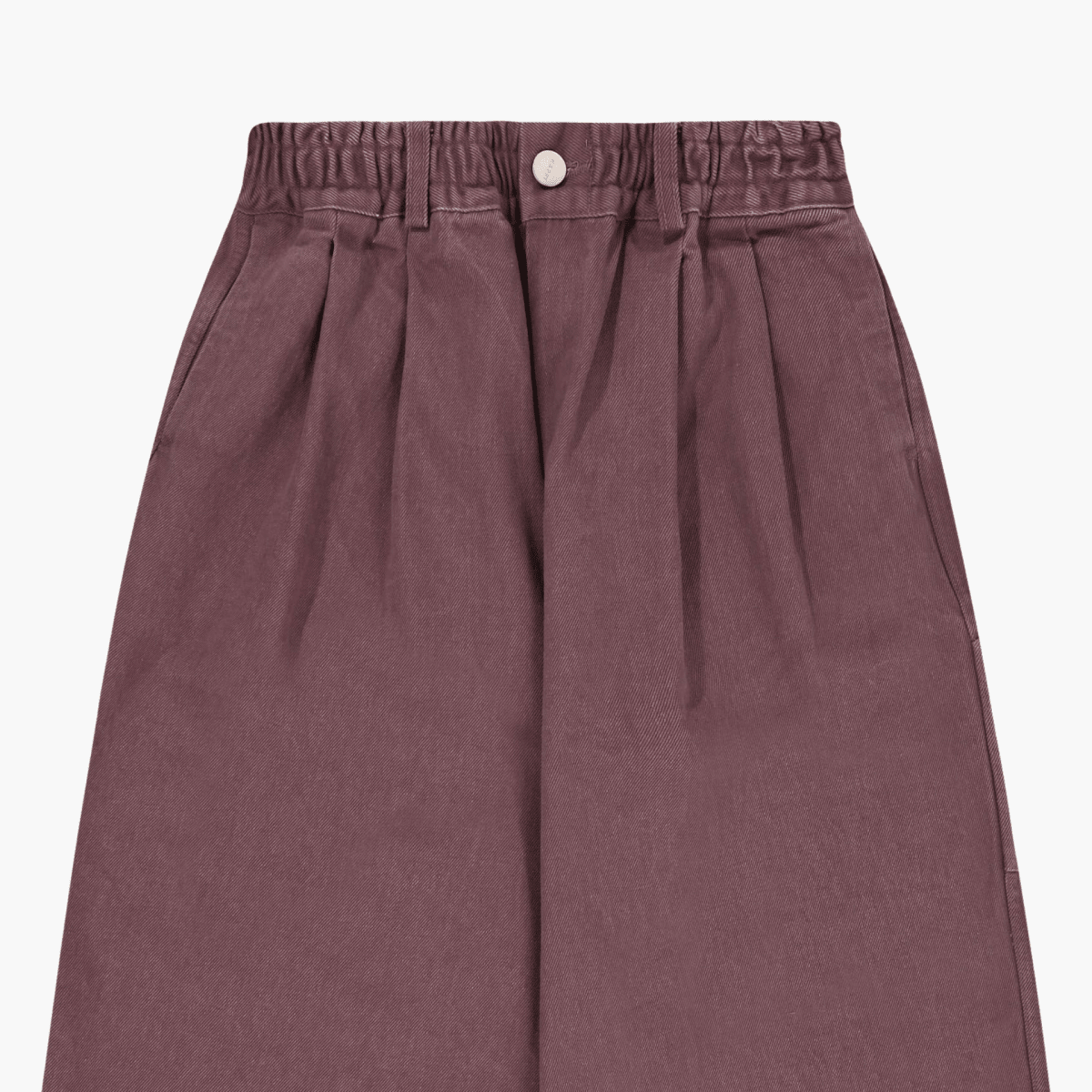 Two Tuck Wide Kation Pants Purple vue de face – vêtements homme Rennes — photo 2